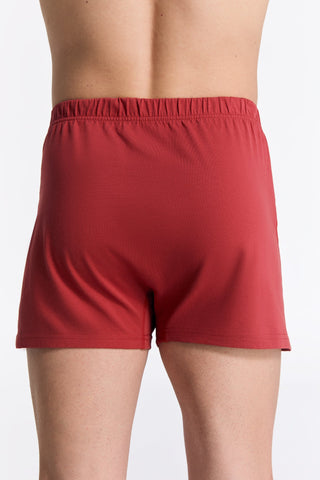 Bio-Baumwoll-Boxershorts mit Holzknopf - 3er Pack