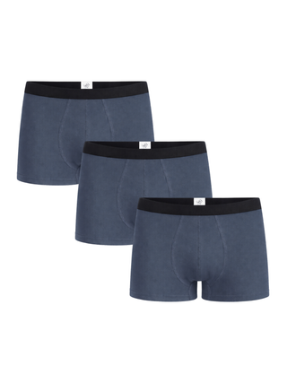 Herren Trunkshorts (3er-Pack)